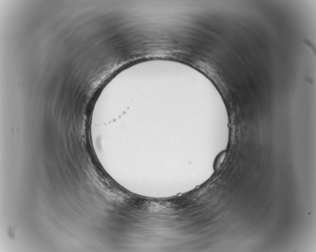 X0000102030346200808151347