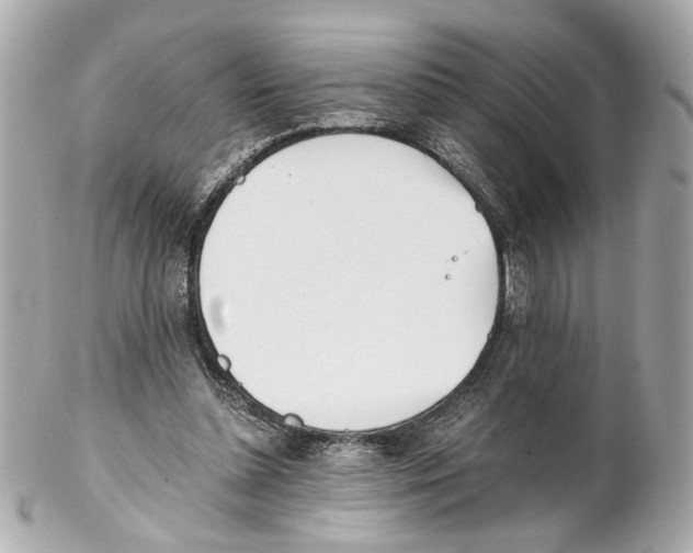 X0000102030348200808151347