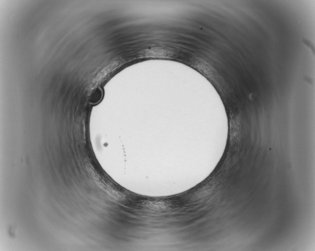 X0000102030349200808151347