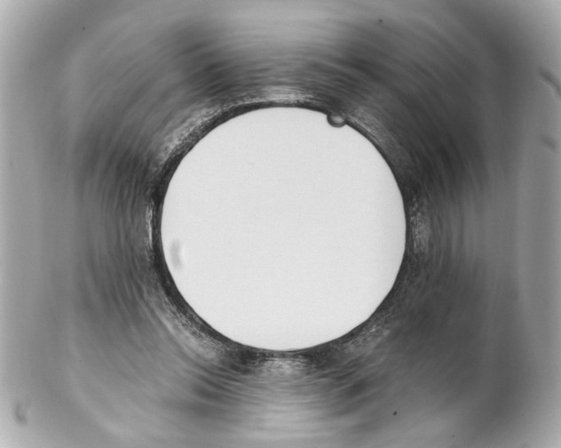 X0000102030350200808151347