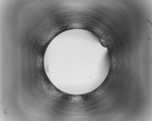 X0000102030355200808151347