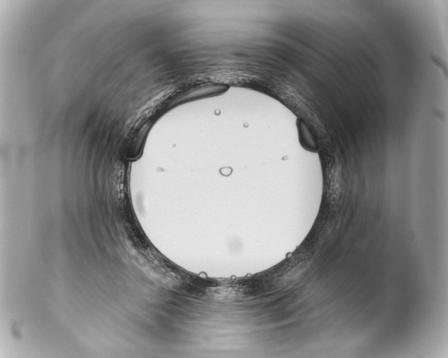 X0000102030356200808151347