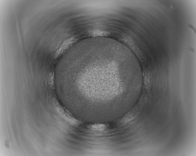 X0000102030357200808151347