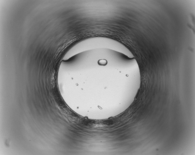 X0000102030360200808151348