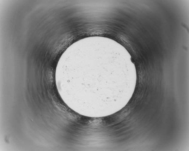 X0000102030362200808151348