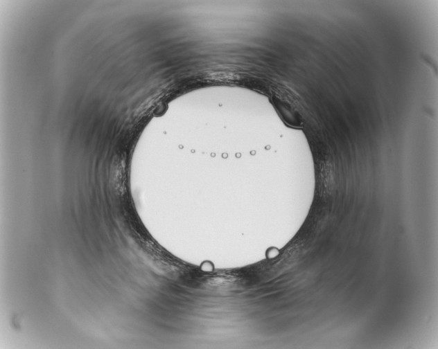 X0000102030364200808151348