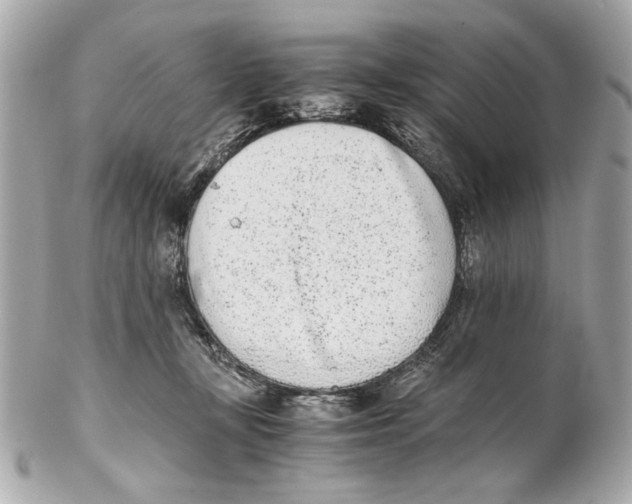 X0000102030367200808151348