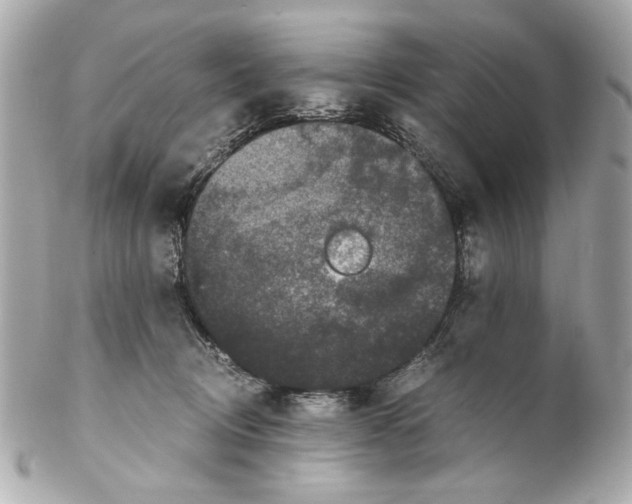 X0000102030370200808151348