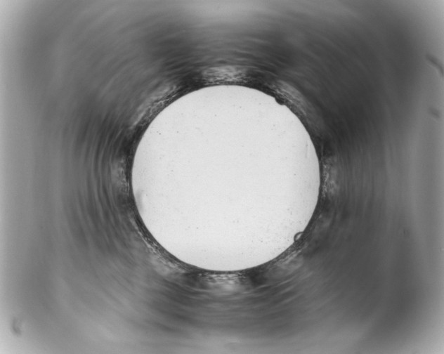 X0000102030377200808151348