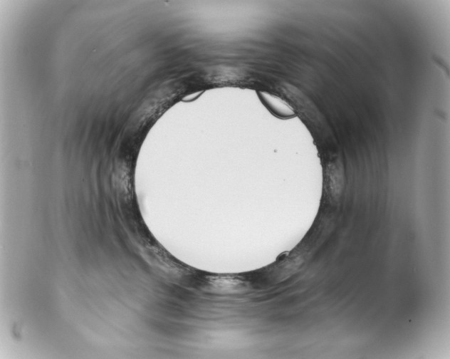 X0000102030380200808151348