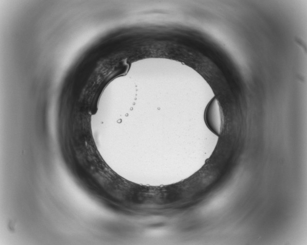 X0000102030383200808151348