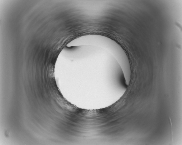 X0000102030384200808151348