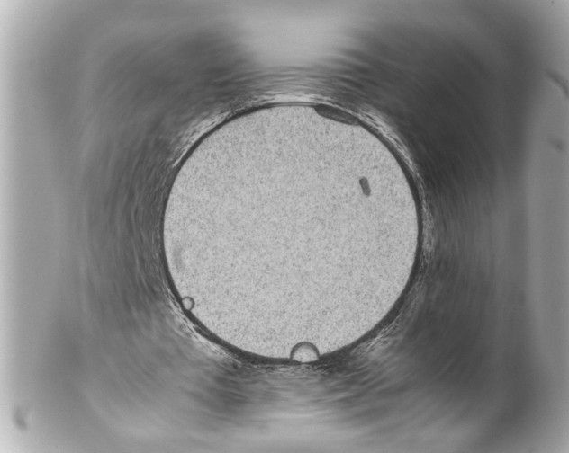 X0000102030385200808151347