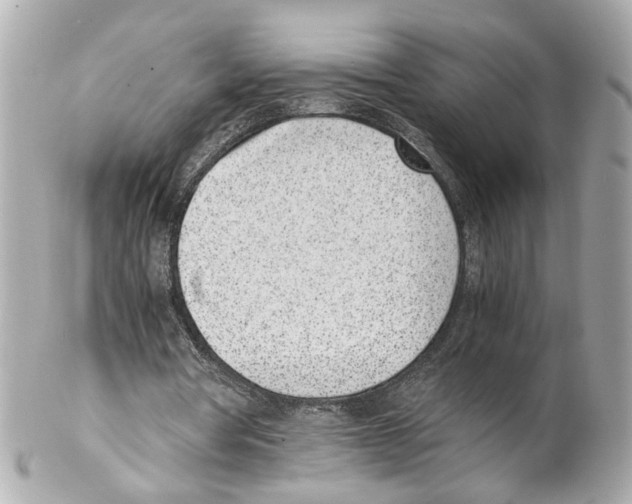 X0000102030386200808151347