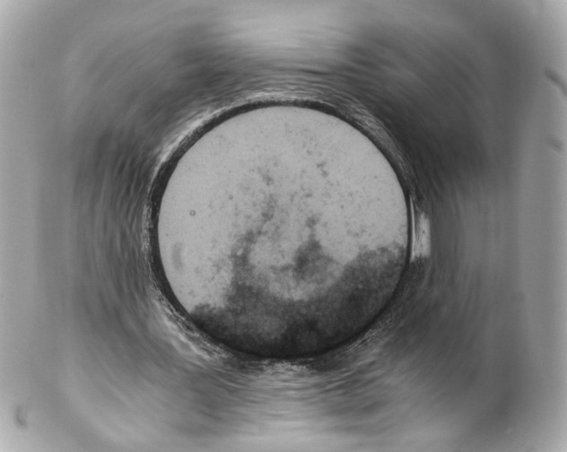 X0000102030387200808151347