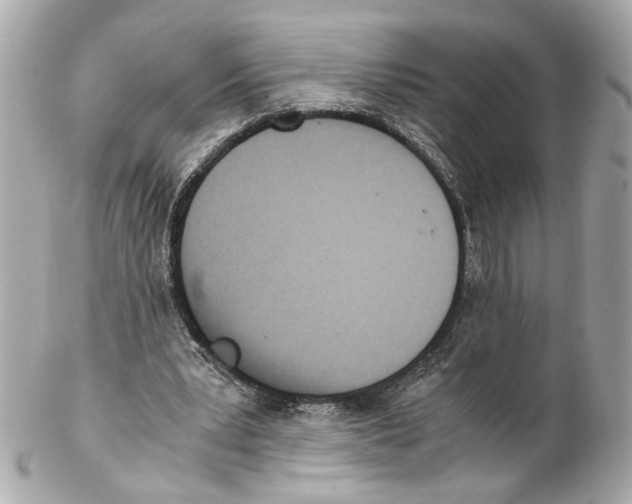 X0000102030391200808151347