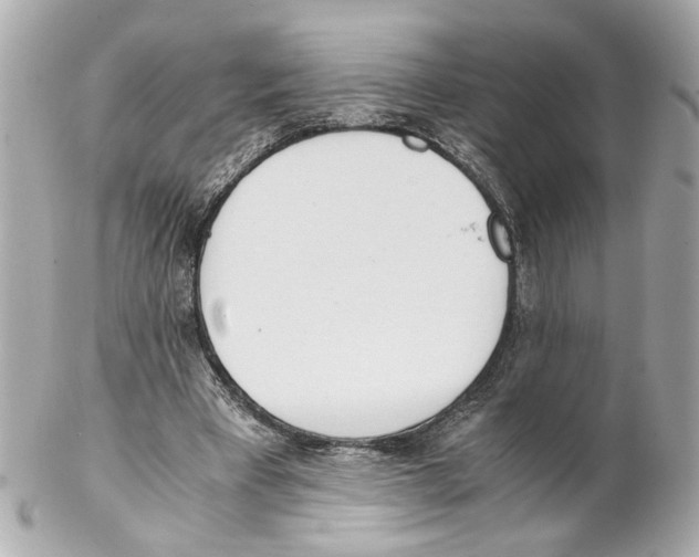 X0000102030393200808151347