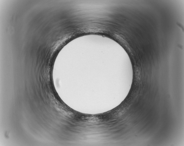 X0000102030395200808151347