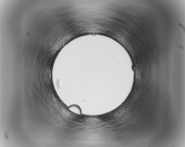 X0000102030397200808151347