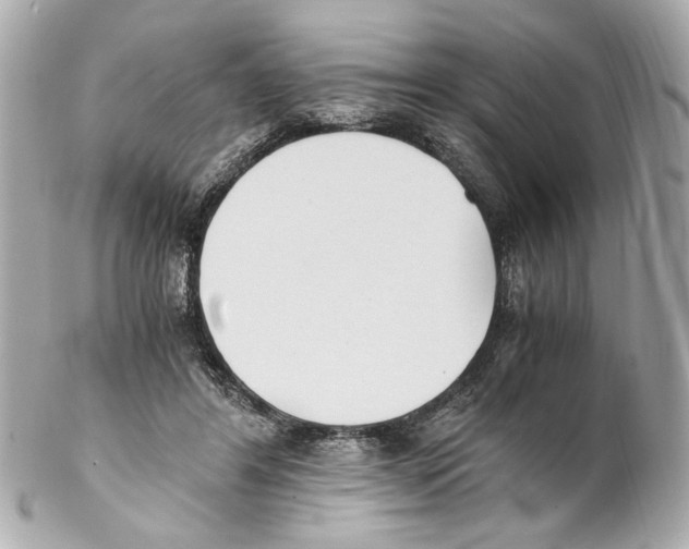 X0000102030404200808151347