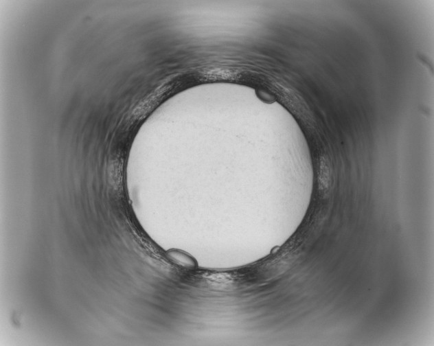 X0000102030409200808151347