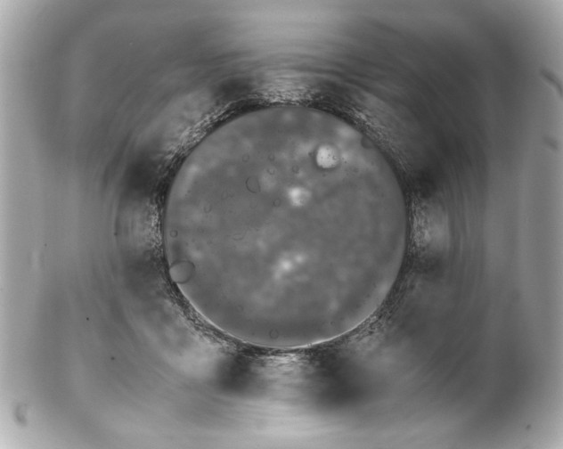 X0000102030411200808151347