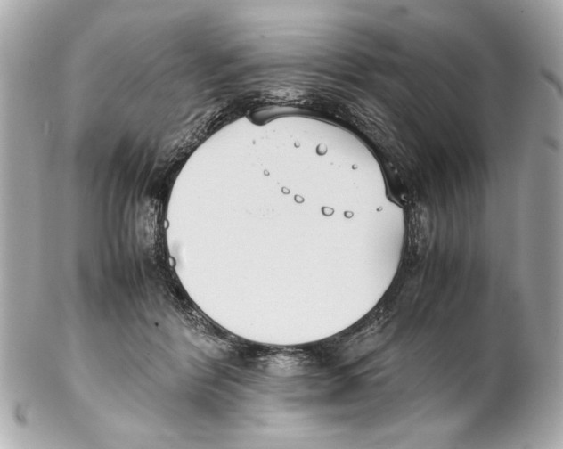 X0000102030412200808151347