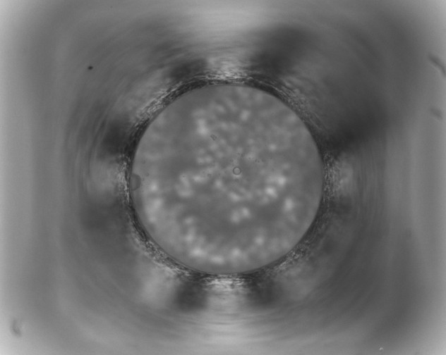 X0000102030415200808151347