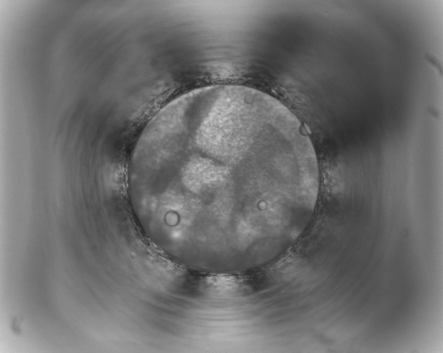 X0000102030419200808151347