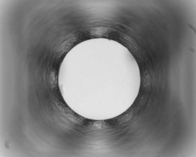 X0000102030420200808151347