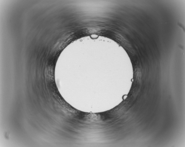 X0000102030421200808151347