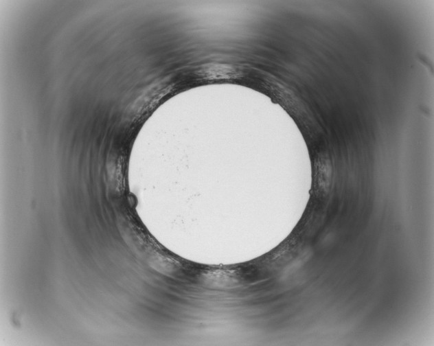 X0000102030422200808151346