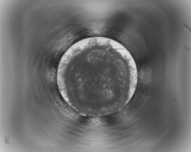 X0000102030423200808151346