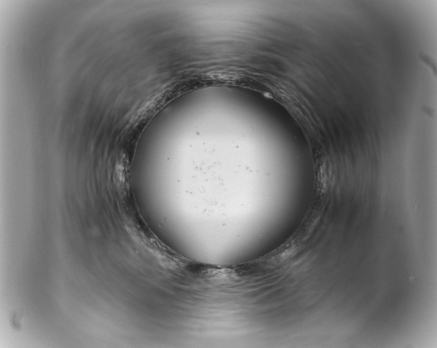 X0000102030424200808151346