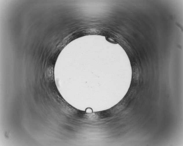 X0000102030425200808151346