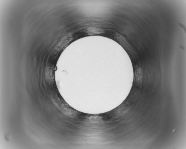 X0000102030426200808151346