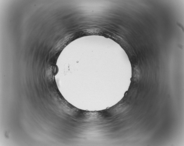 X0000102030428200808151346