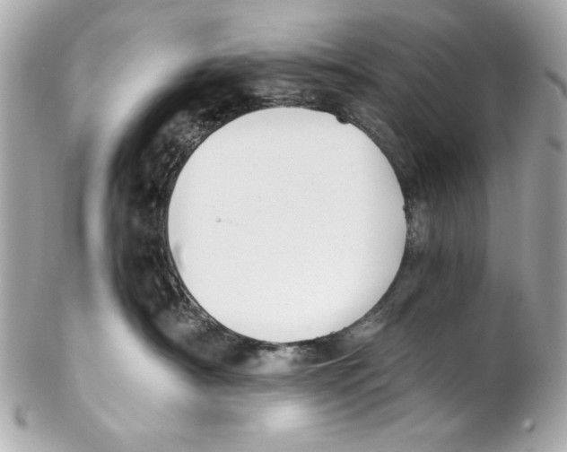 X0000102030430200808151346