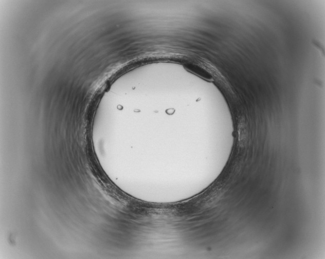 X0000102030436200808151346