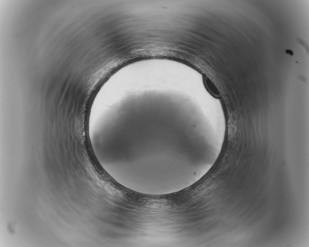 X0000102030438200808151346