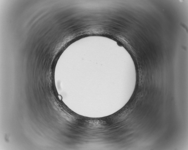 X0000102030439200808151346