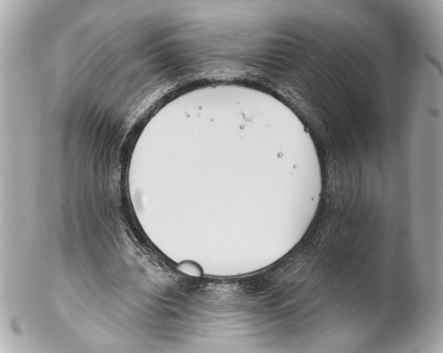 X0000102030440200808151346