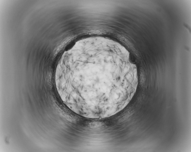 X0000102030444200808151346