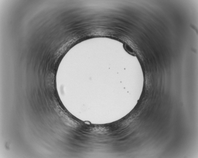 X0000102030445200808151346