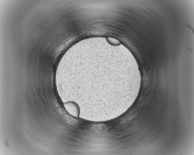 X0000102030446200808151346