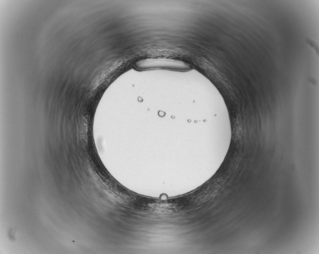 X0000102030448200808151346