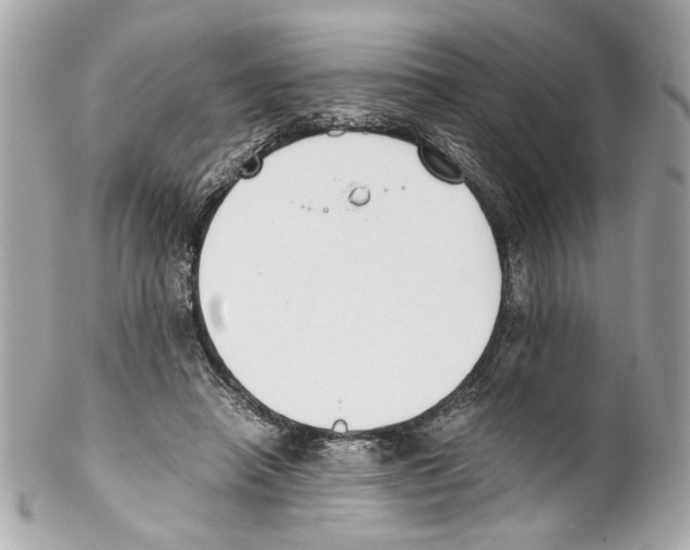 X0000102030450200808151346