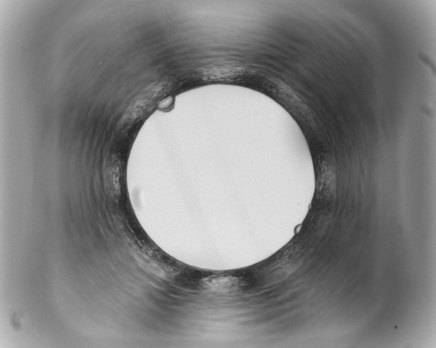 X0000102030452200808151346