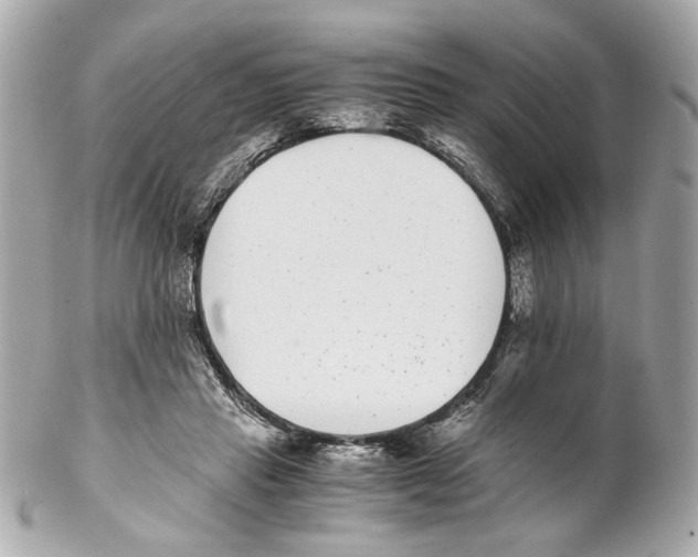 X0000102030453200808151346