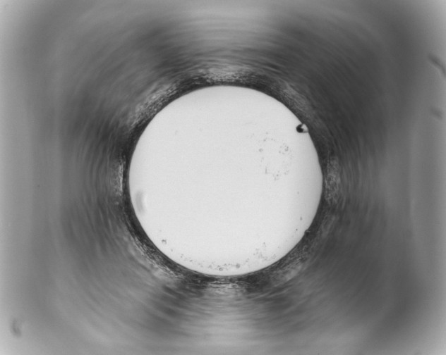 X0000102030454200808151346